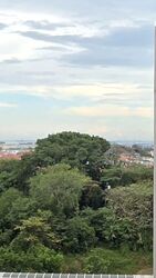 Tanah Merah Kechil Link (D16), Condominium #553436481